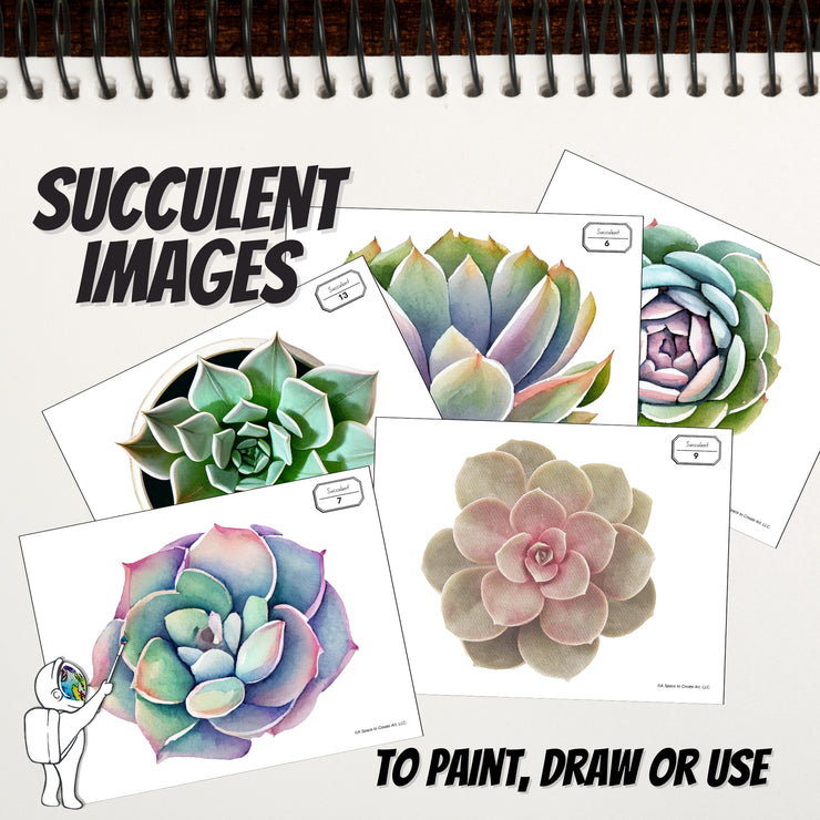 Succulent Images for Art Reference, PDF, Middle School, High School Art