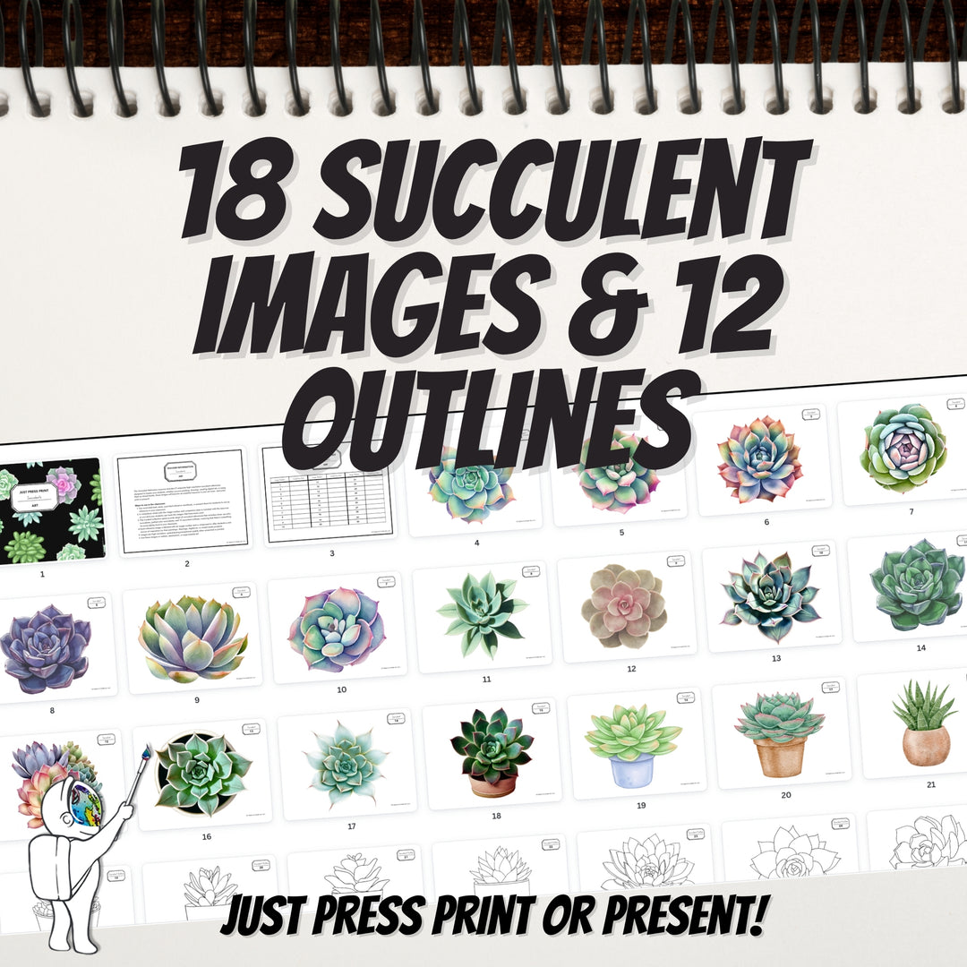 succulent reference photos Succulent Images for Art Reference, PDF, Middle School, High School Ar – A  Space to Create Art