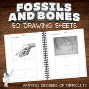Fossil & Bones Art Worksheets - Visual Art Student Drawing Workbook