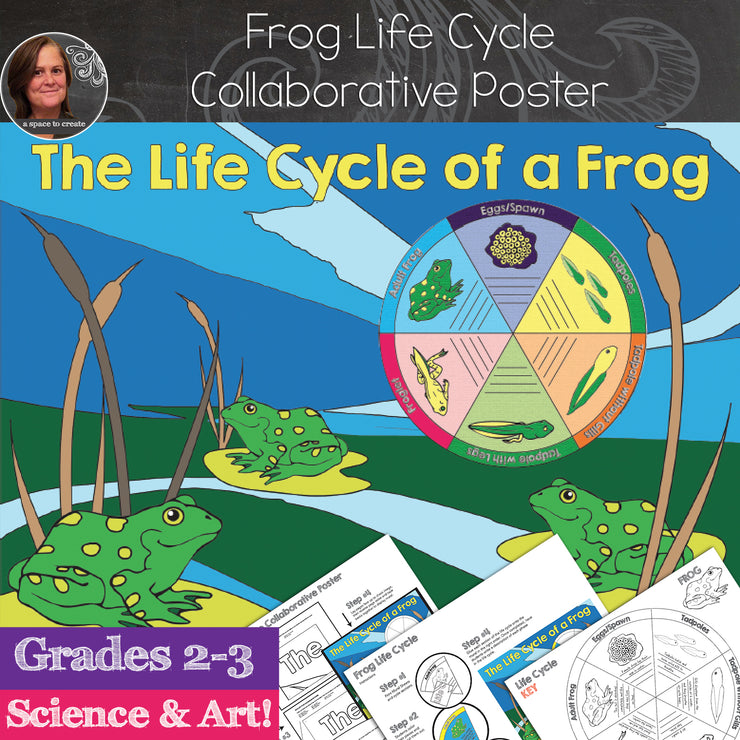 Frog Life Cycle Collaborative Poster and Science Activity
