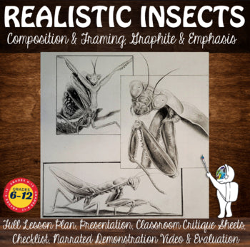 Realistic Insects Graphite Drawing & Composition, High School, Middle School Art